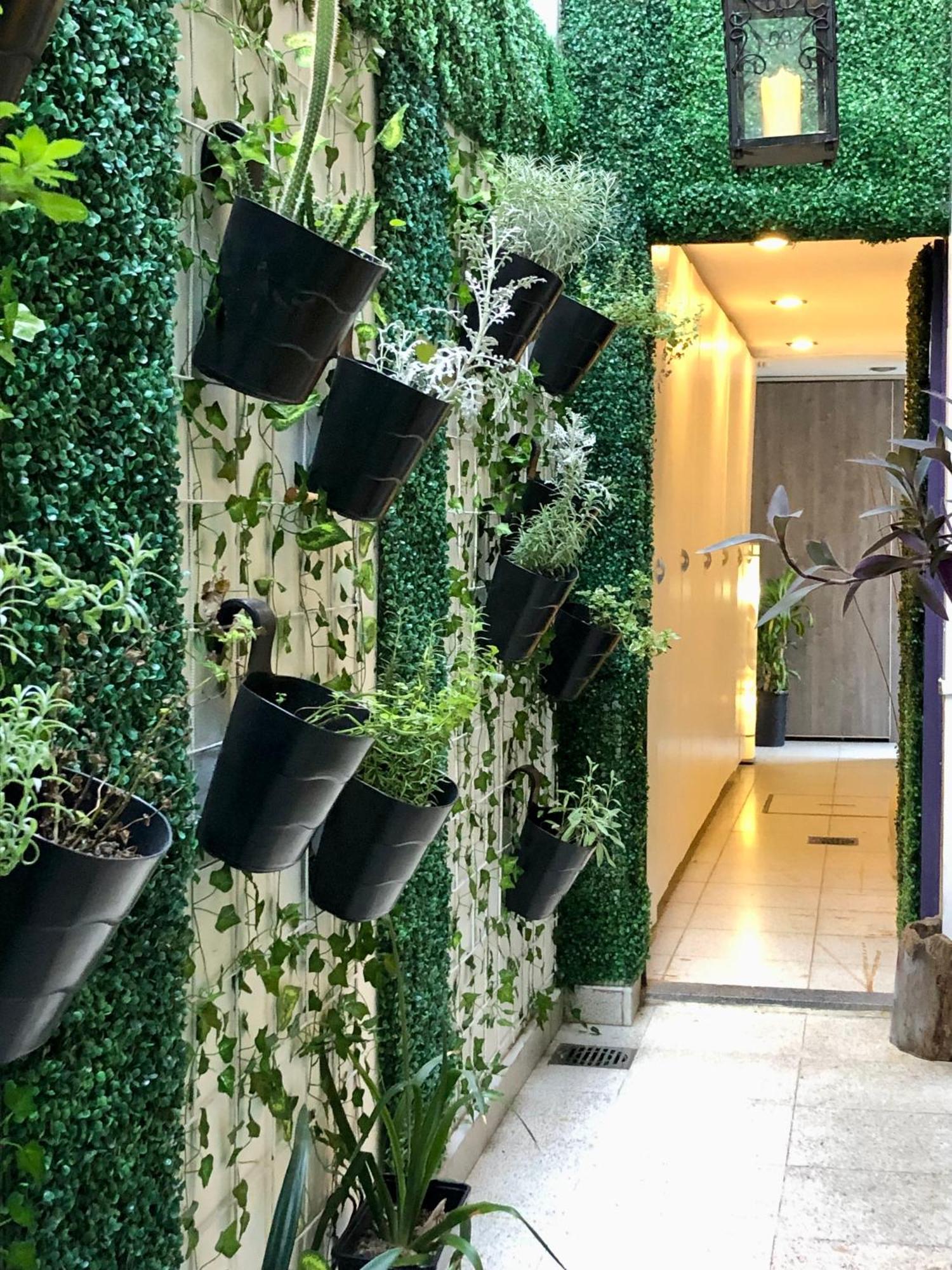 Cool Clima Acomodação com café da manhã Olivos Exterior foto